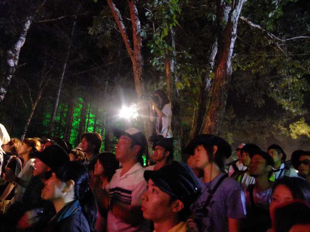 木に登って写真を撮る公式カメラマン。