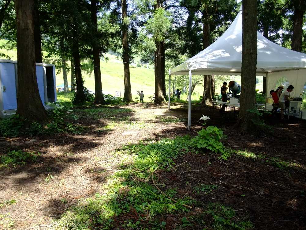 木陰の仮設洗面所。