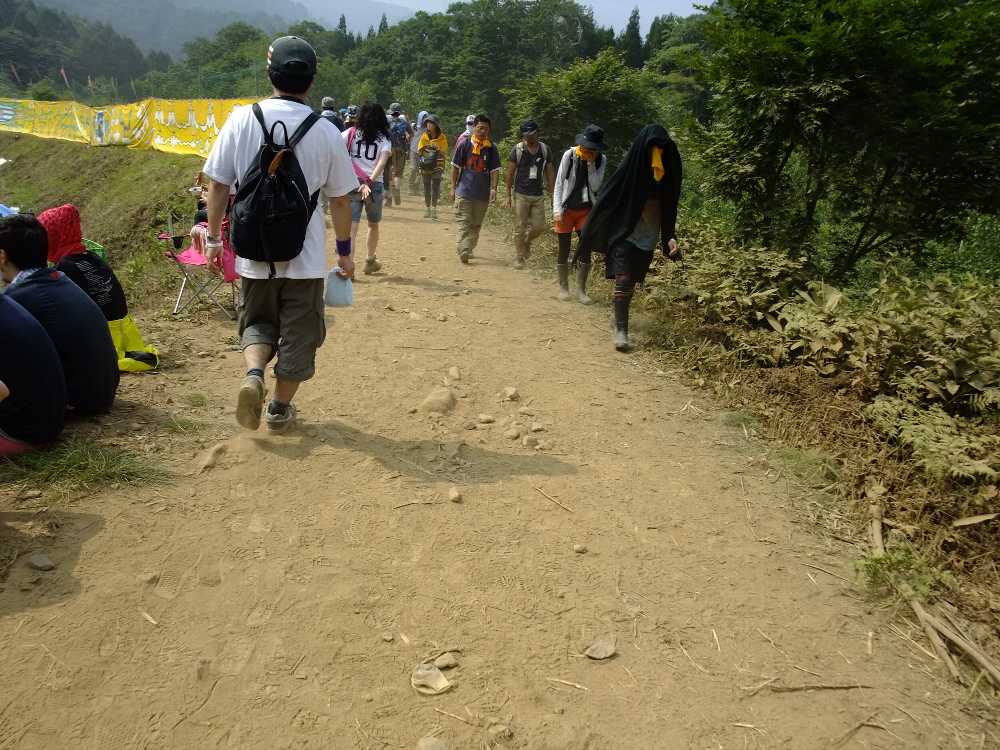 右側は土埃で葉が土色になっている。