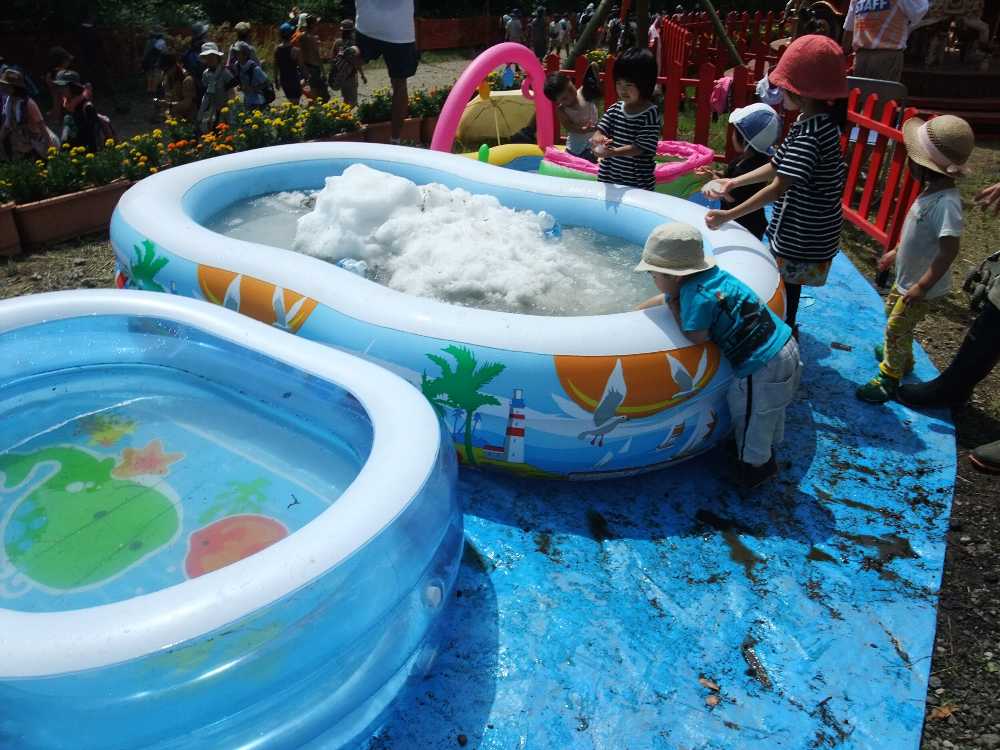 プールというより雪置き場。