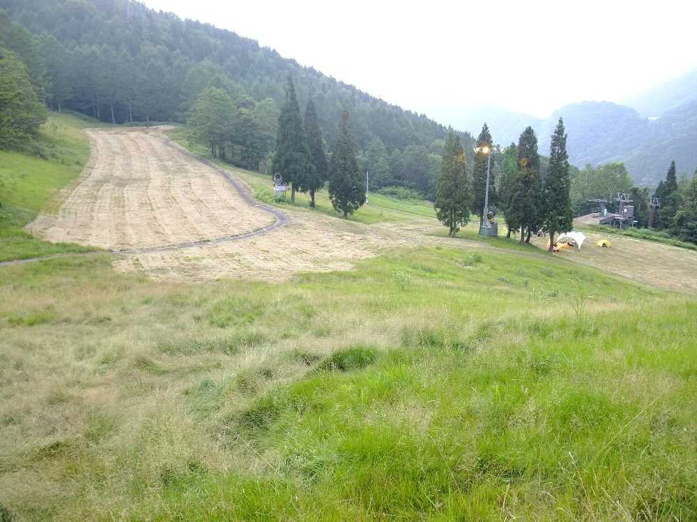 前夜祭でHサイトにテントを張っている人はいない。