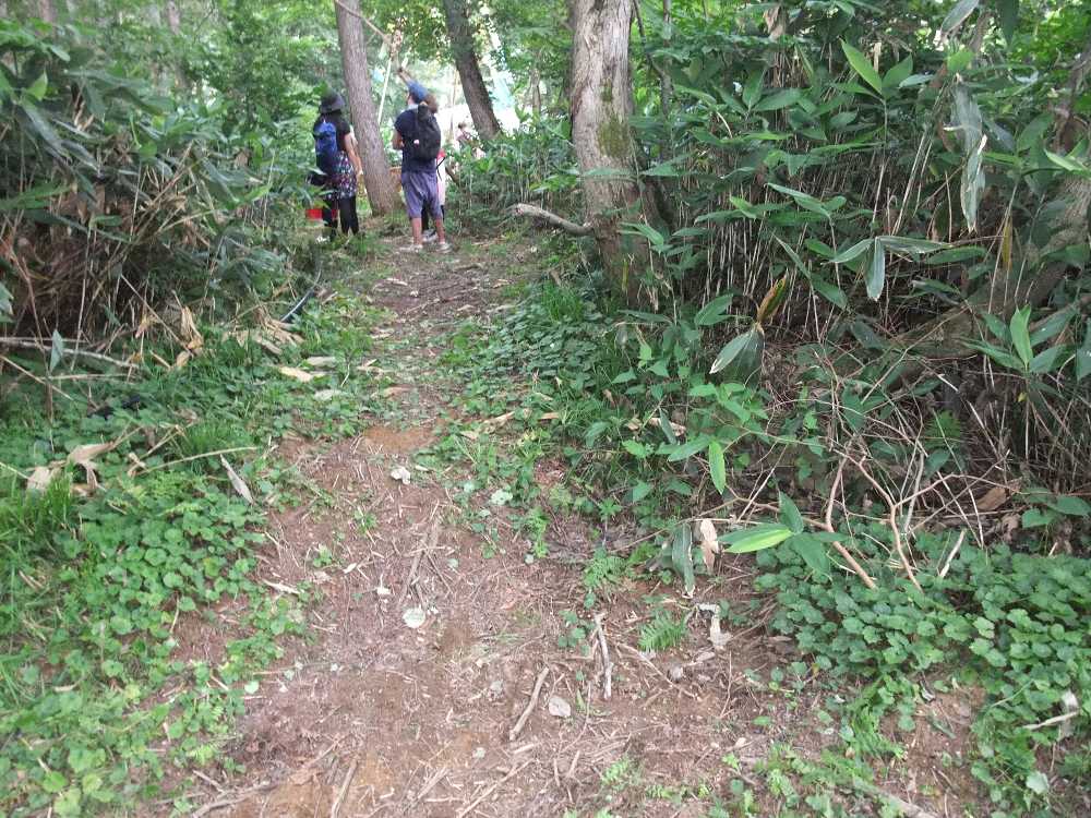 アバロンフィールドの目立たない近道。短すぎてあまり意味がない。