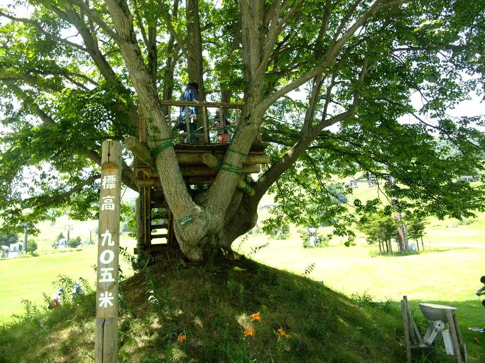 標高905メートル。