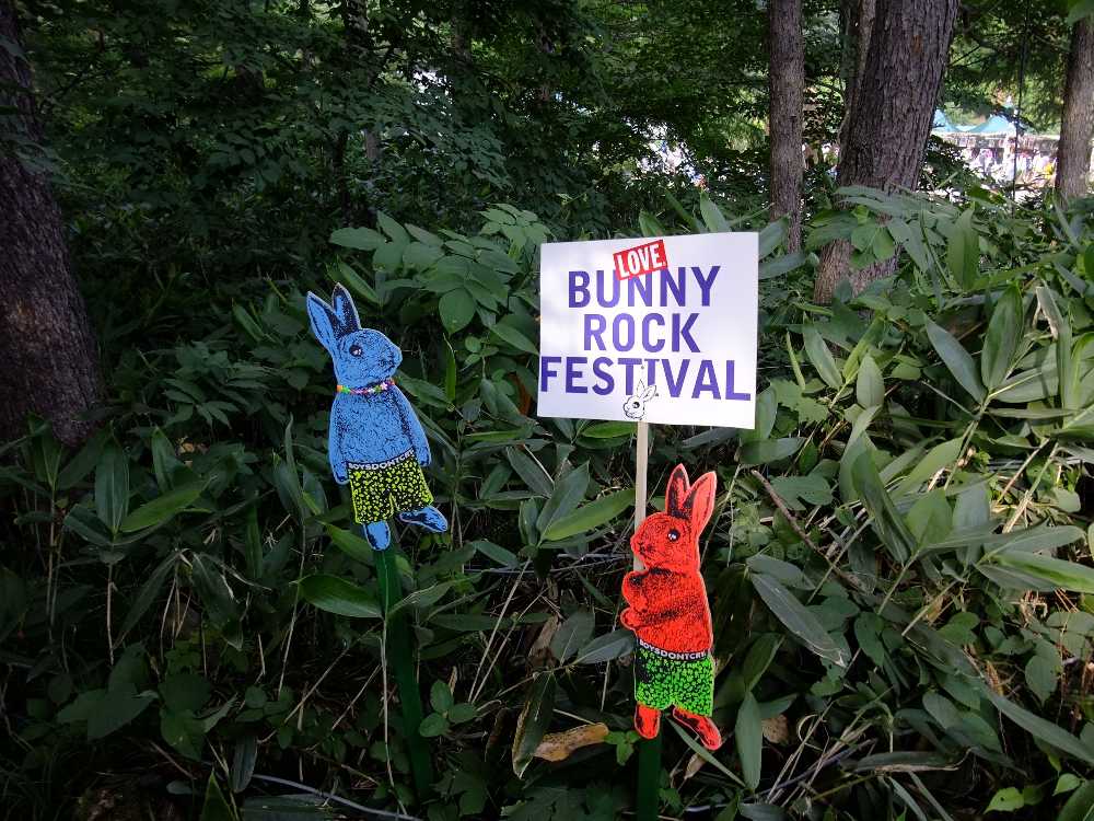 多数あるウサギの絵。