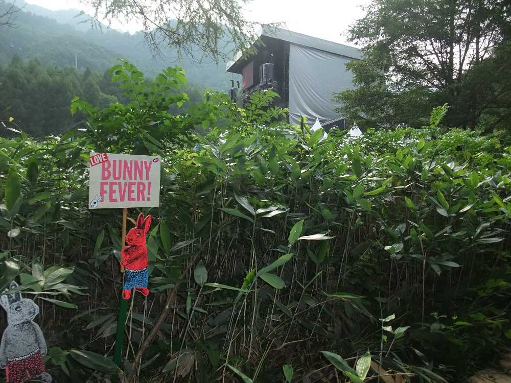 ボードウォークから見えるホワイトステージ。