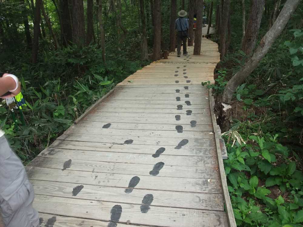 今年新たに描いたとみられる足跡。