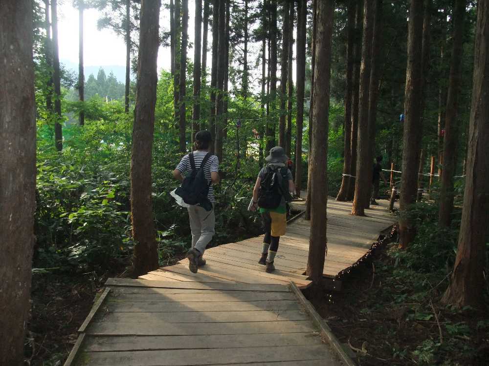 新しい板ばかりになっている部分。