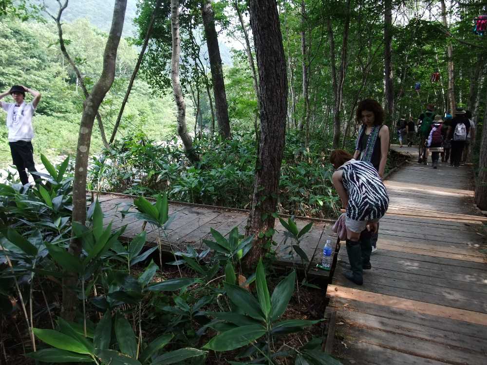 枝分かれしているところ。左は休憩所のようになっている。