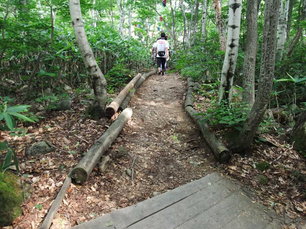 何年たっても板張りにならない部分。