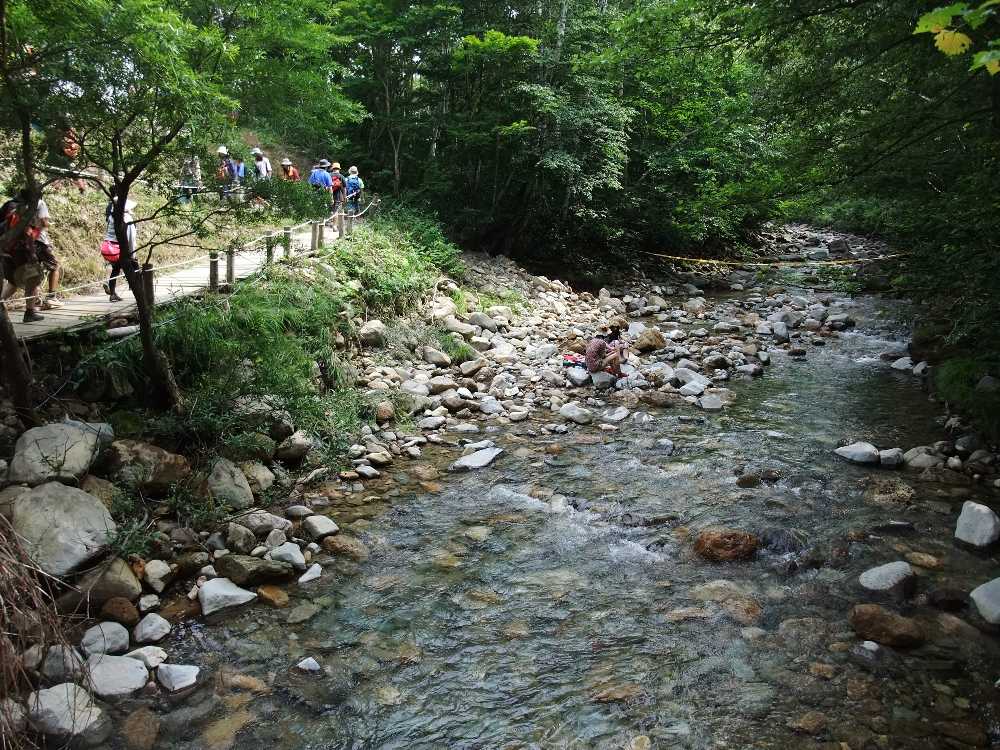 上流側。雨が降らなかったので流量が少ない。