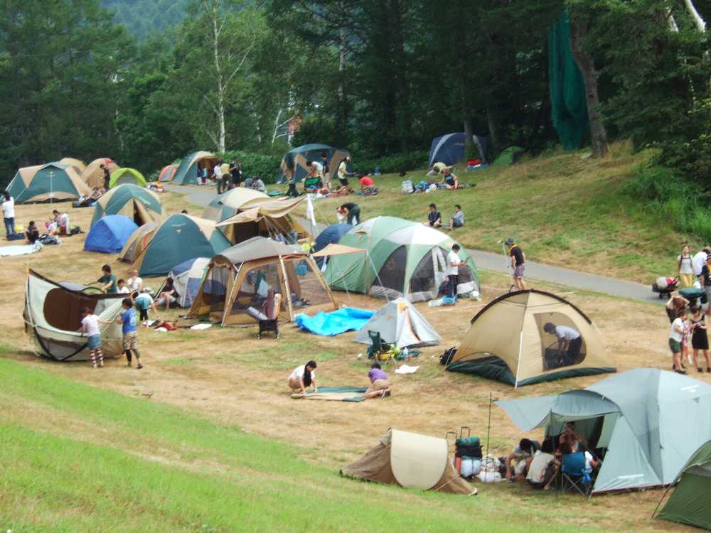 大きいテントが残りやすいようだ。