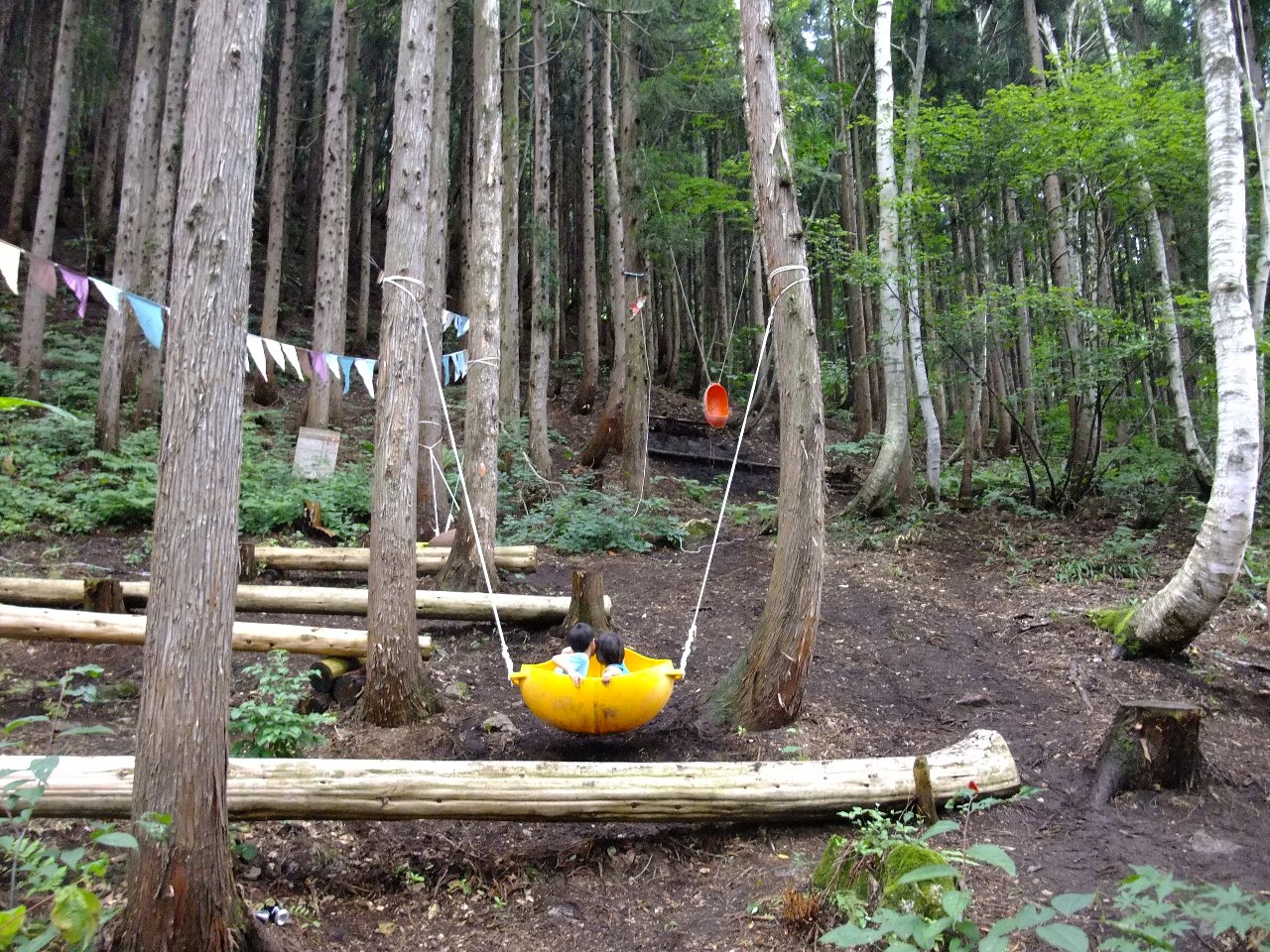 豪雪地帯なので根元が雪の重みで曲がっています。