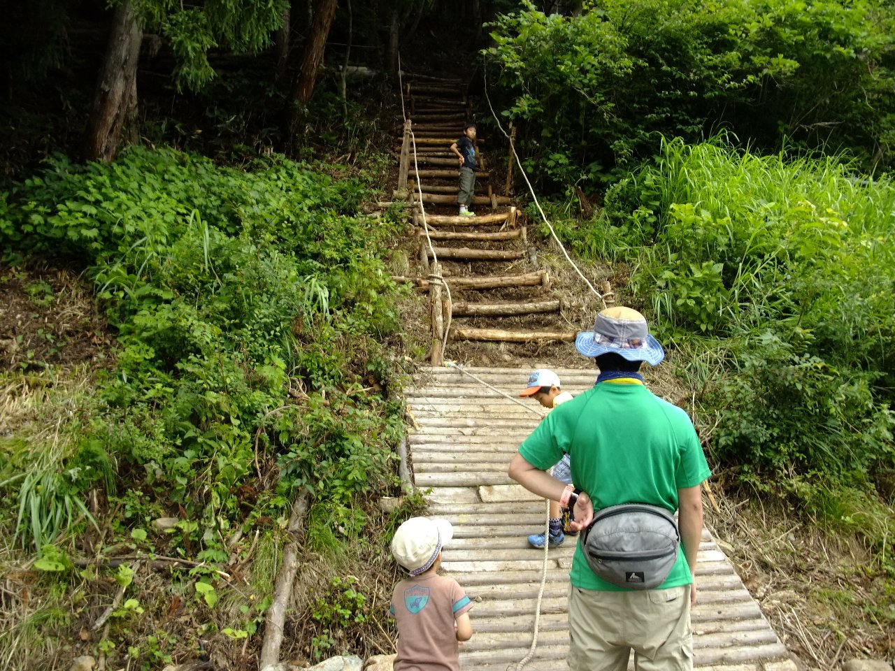 滑り台の奥の階段はキッズの森の入り口とつながっています。