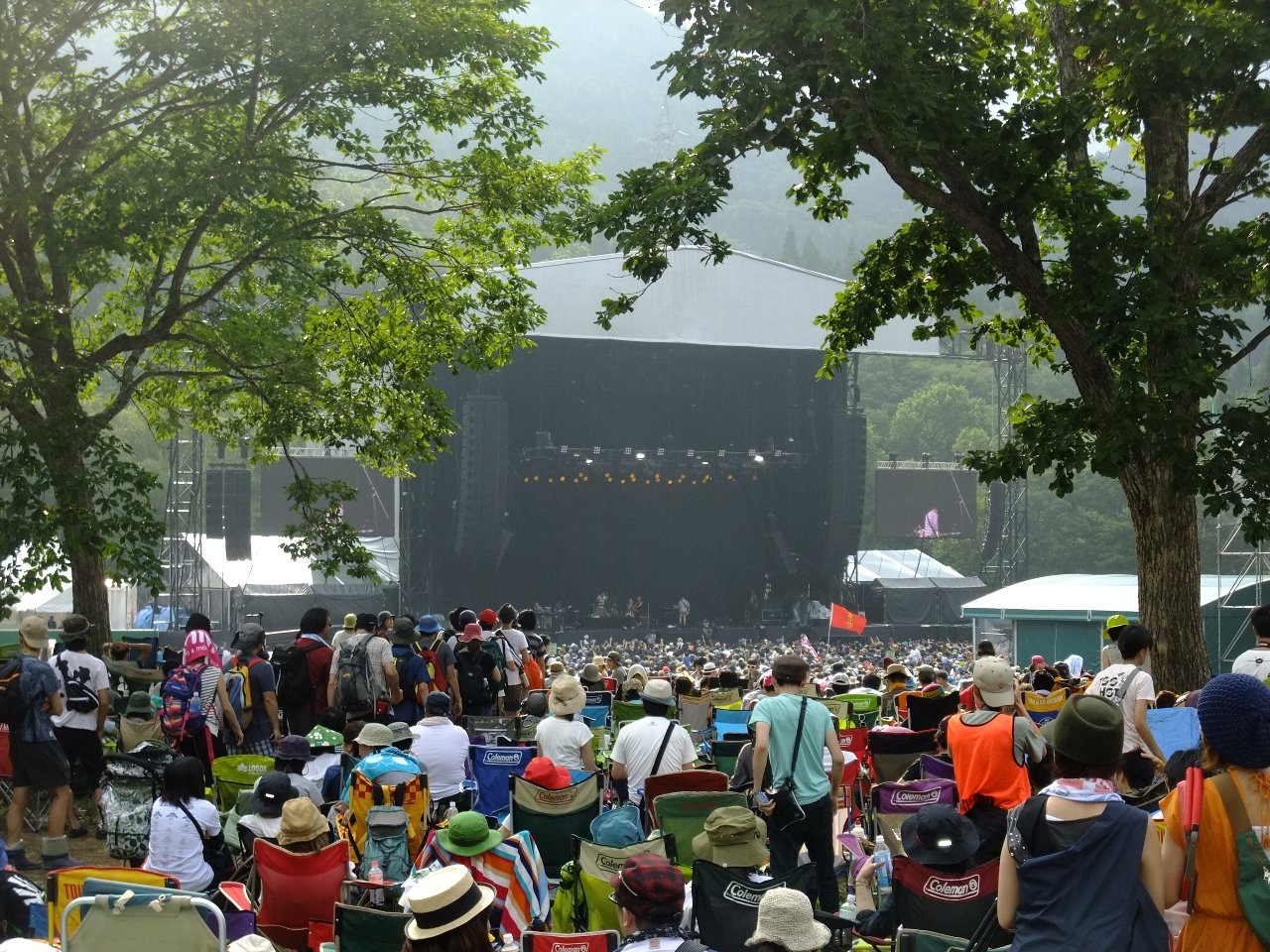 木々の間から。