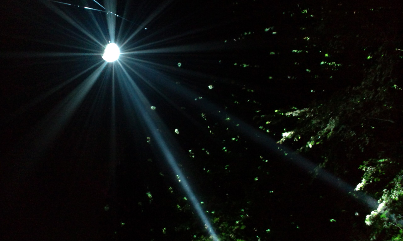 アバロンフィールドとフィールドオブヘブンの間にあるミラーボール。