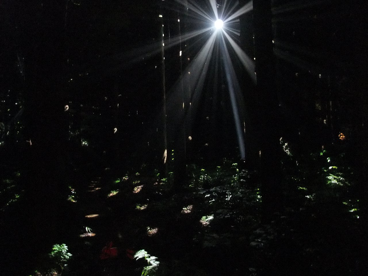 ミラーボールも今年は数が少ない。