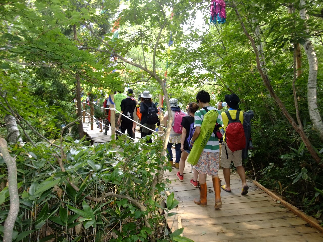 今年はみどり橋まで板が続いていました。