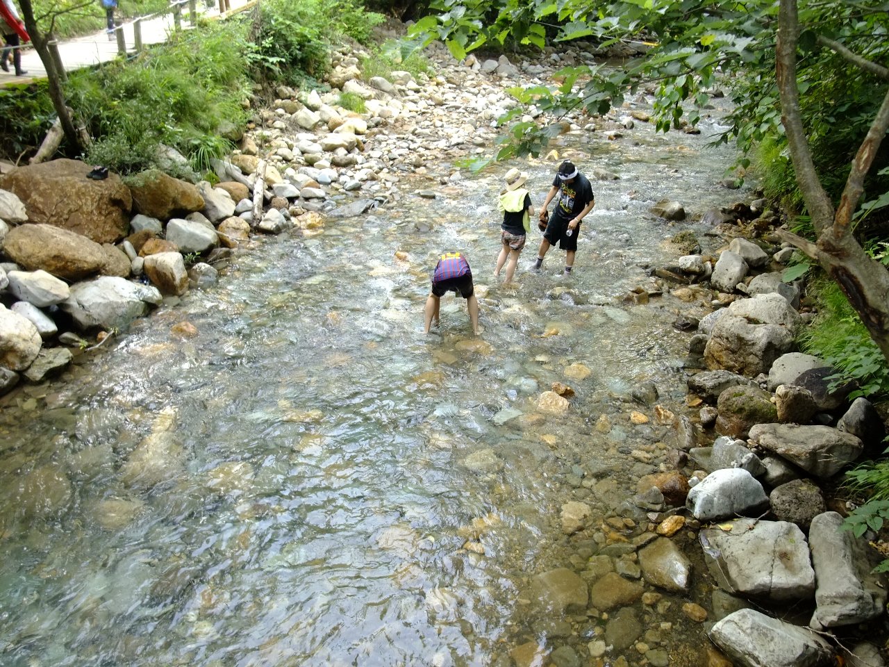 川に降りた人。