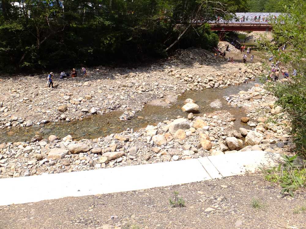 入場ゲートとグリーンステージの間から。