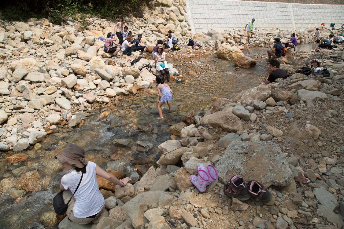 重機で流路を作っているのは明らか。