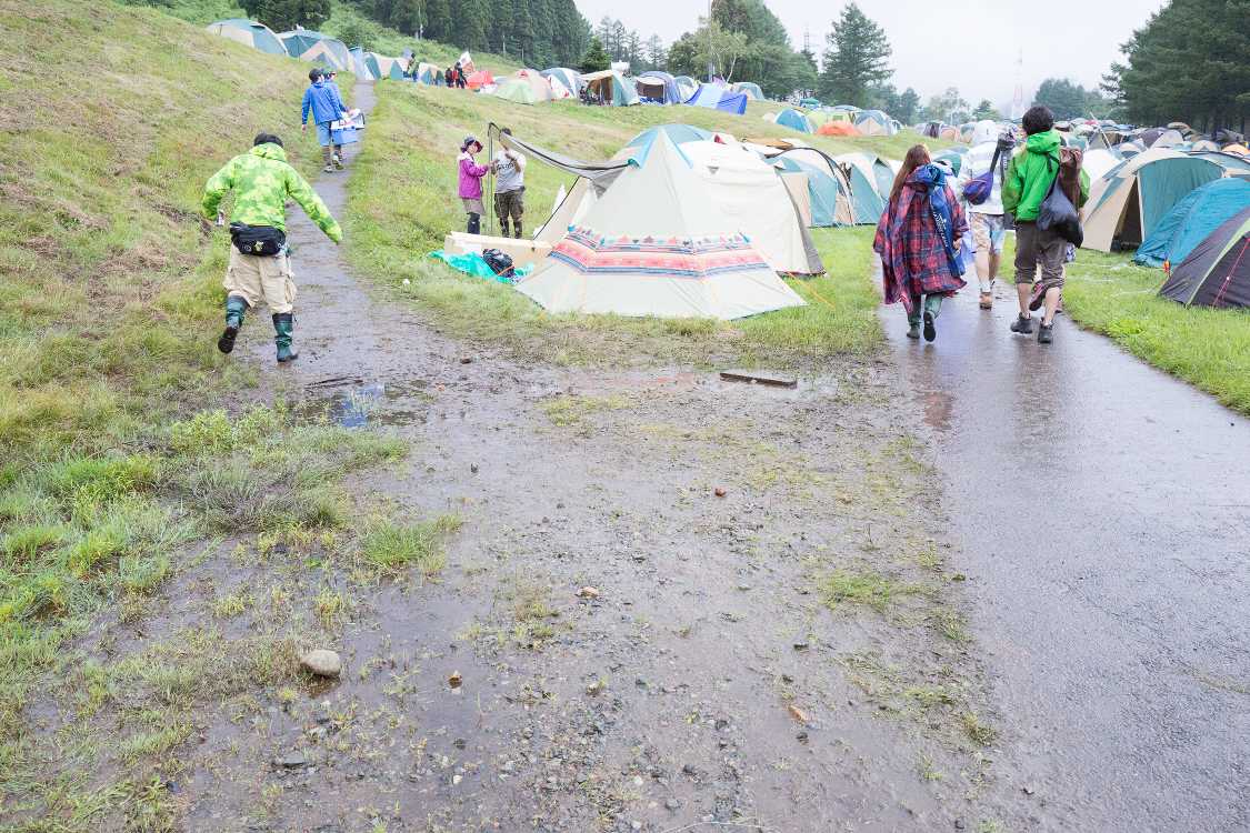いつも雨の流路になっているところ。