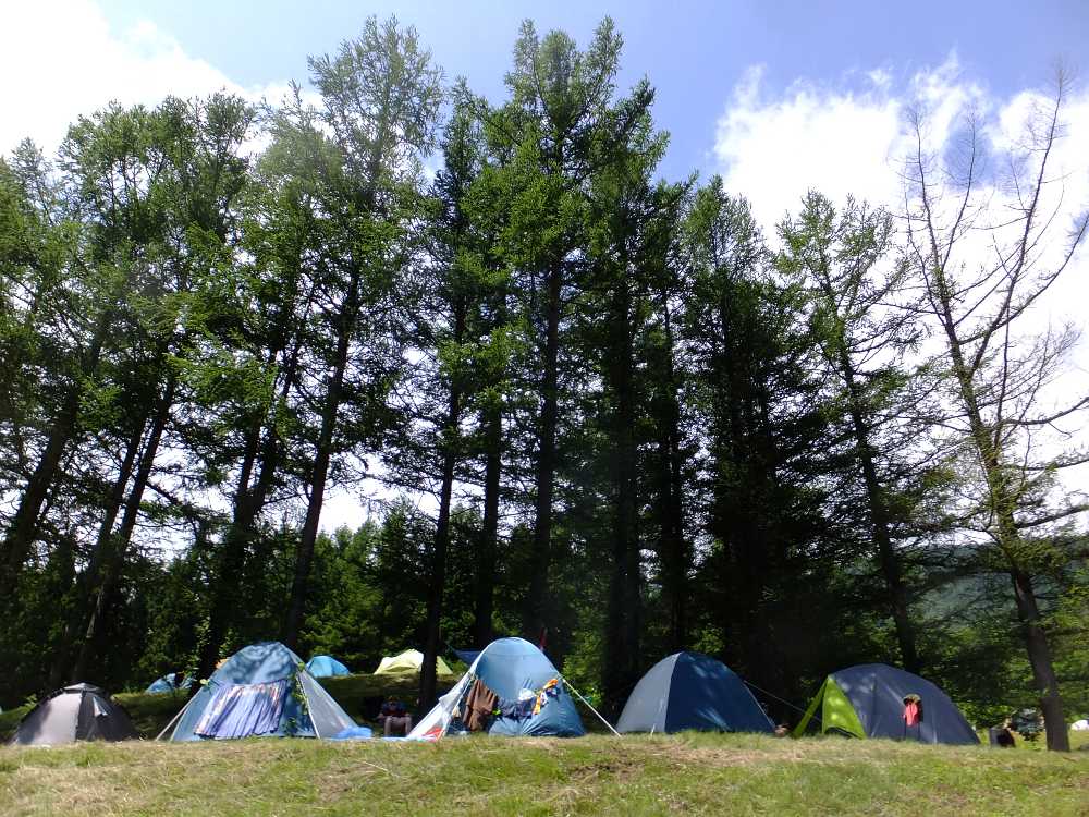 比較的高いところにあるCサイト。