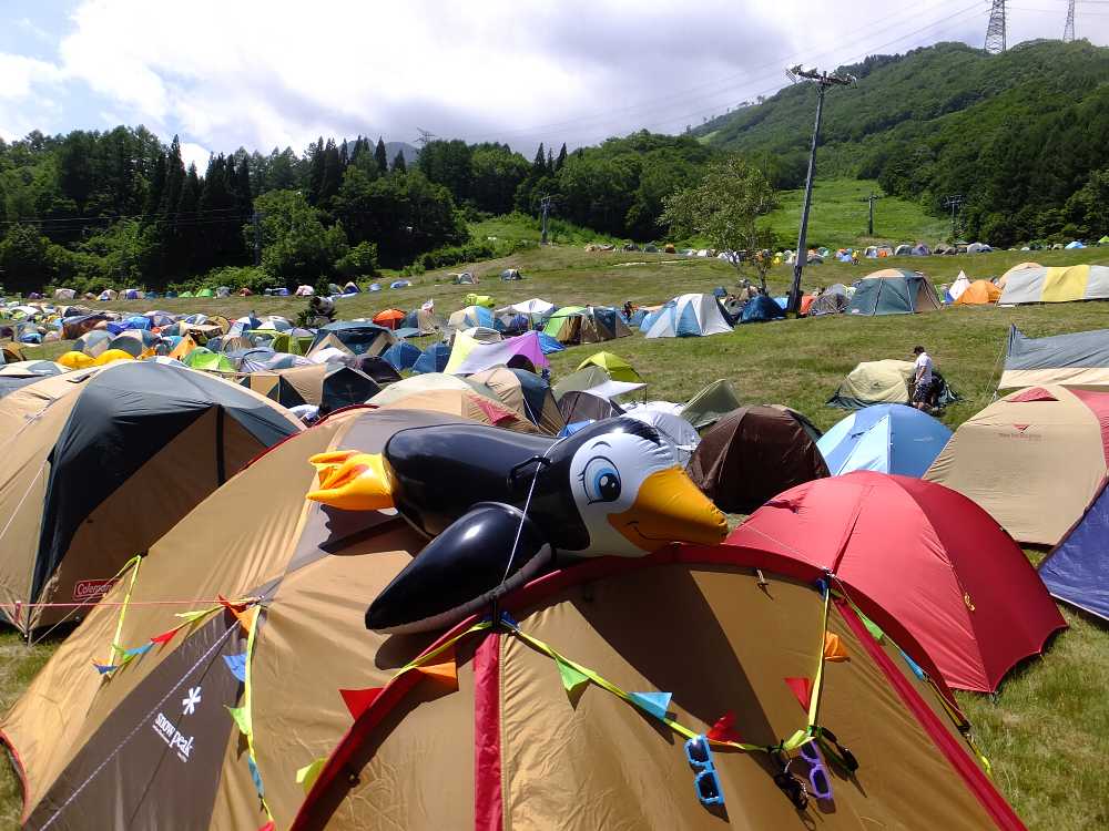 目印いろいろ。