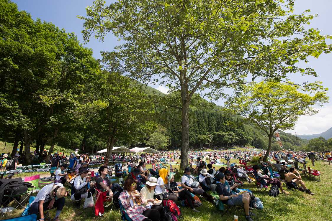 ホワイトステージ側。導線よりやや前方。