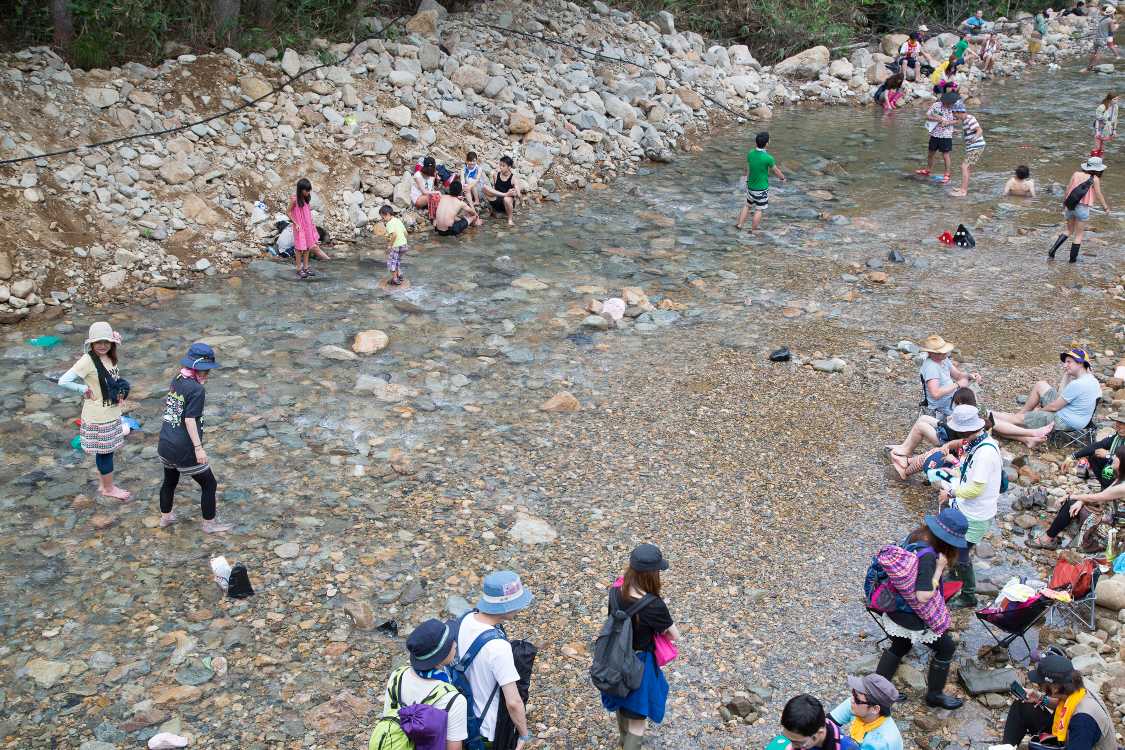 流量は変わりやすく、右岸はあまり流れなくなっている。