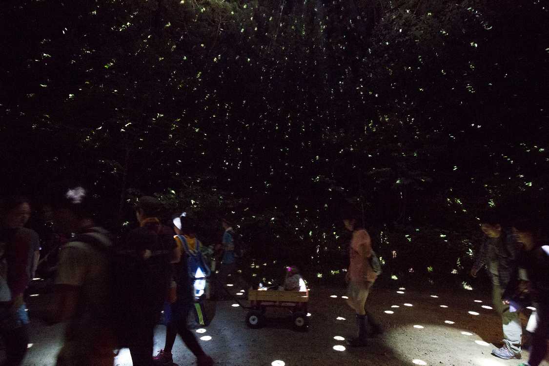 うまくカートが真ん中に入りました。