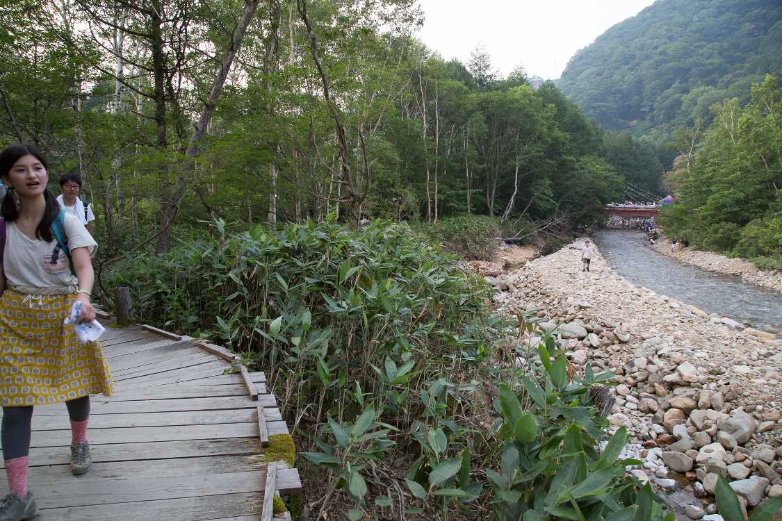 奥はところ天国のホワイト橋。