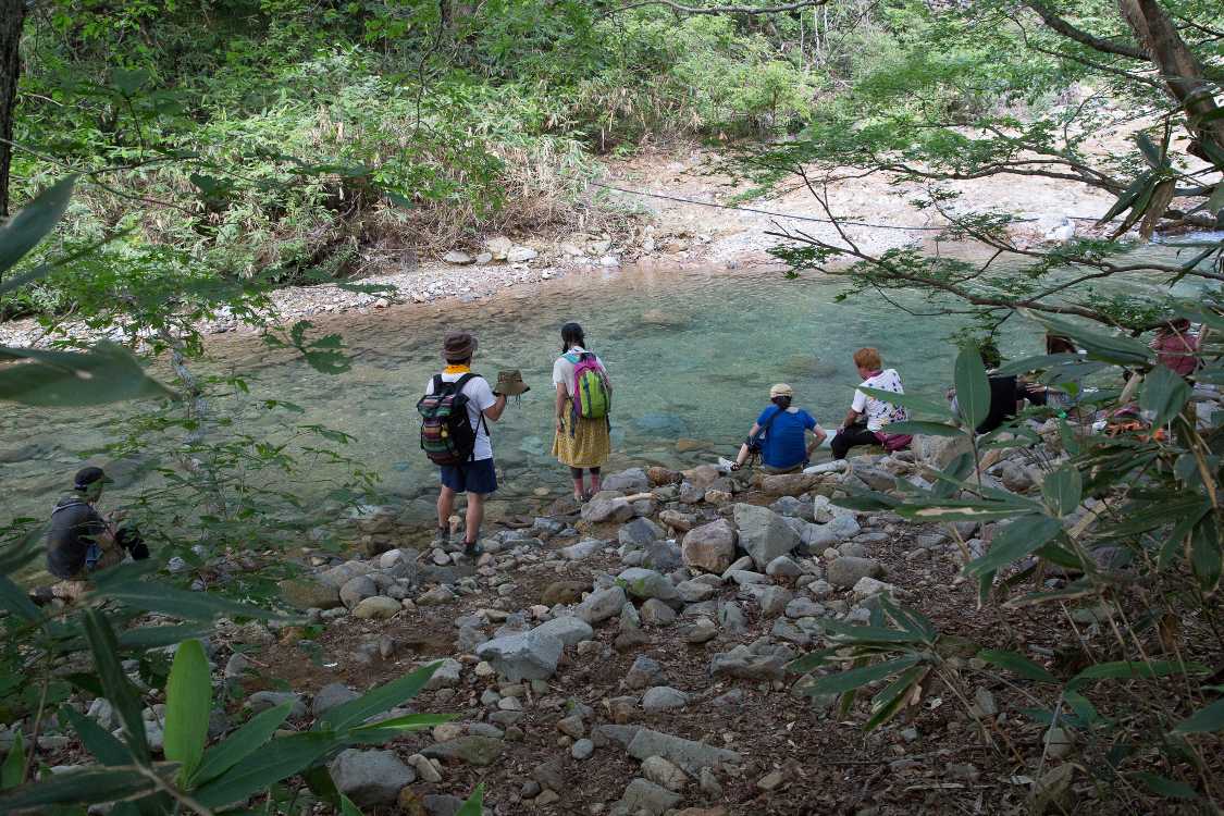 土曜の午後5時40分ごろなのでそれほど暑い時間ではない。