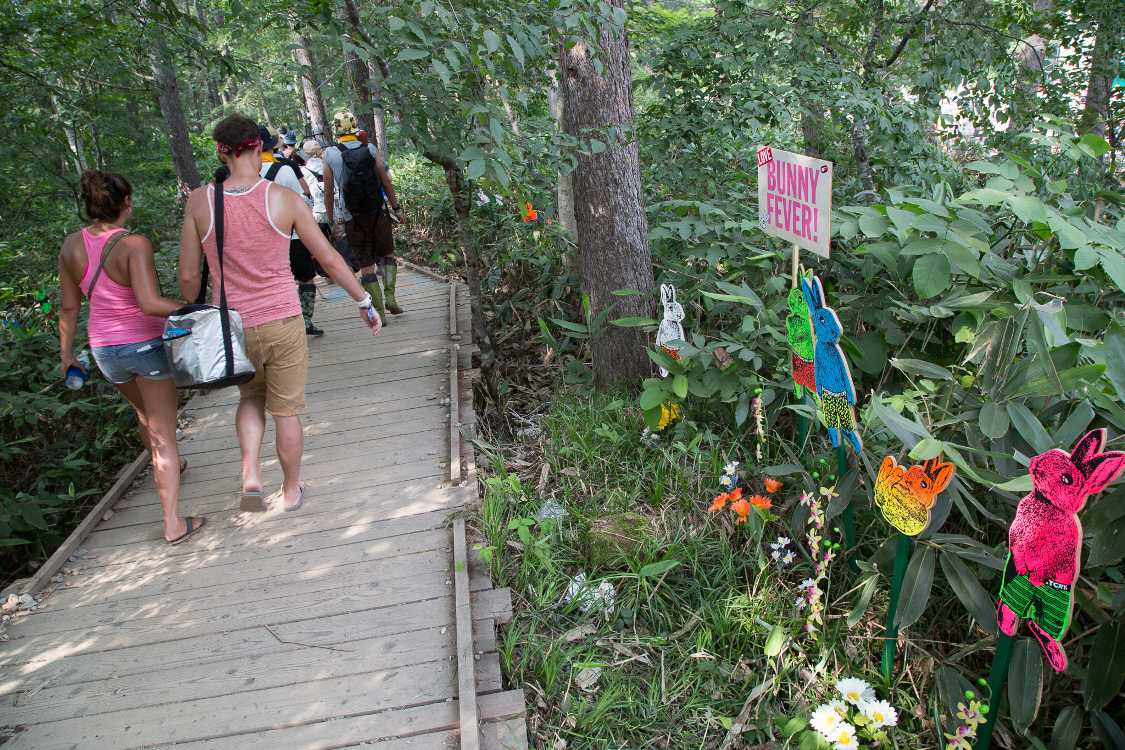 入り口なので兎がたくさんいる。