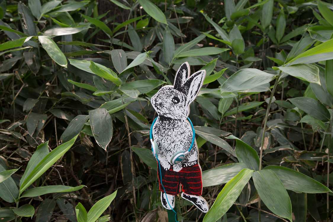 ヘッドホン付き。