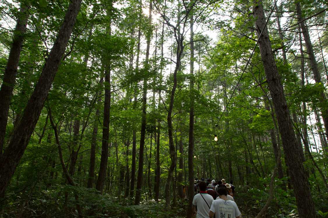 暗くなるボードウォーク。