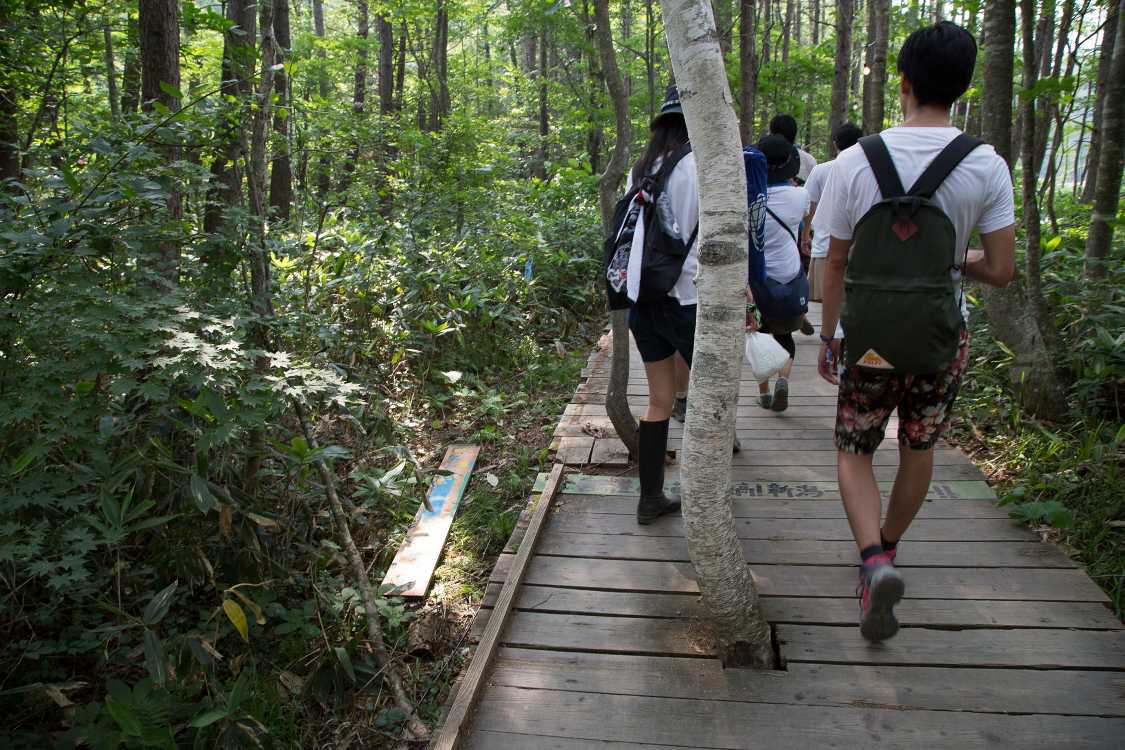 古い板は随時交換しているとみられる。