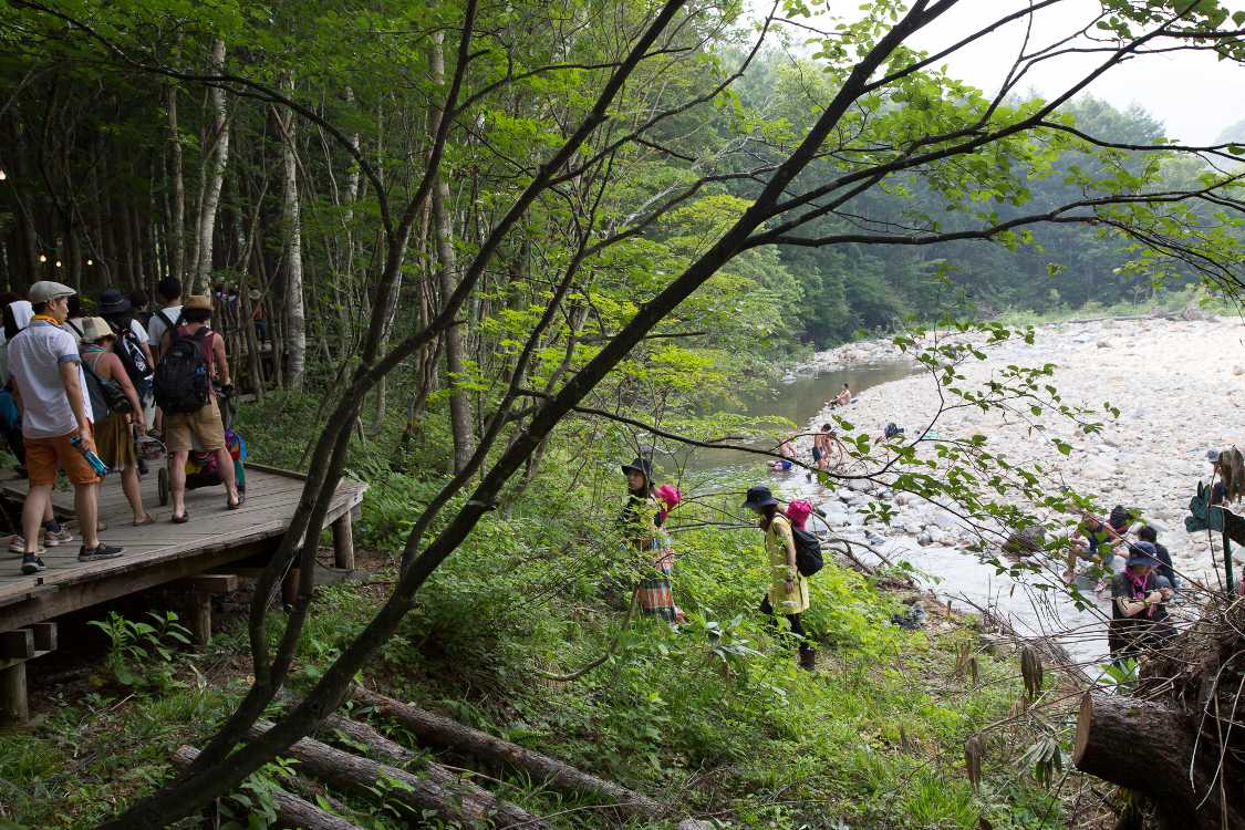 この辺は木が伐採されて川を見通しやすくなった。