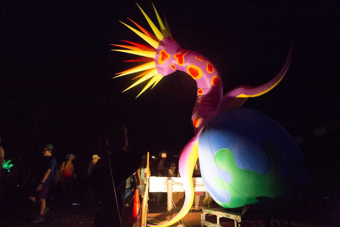 夜のいそぎんちゃく。