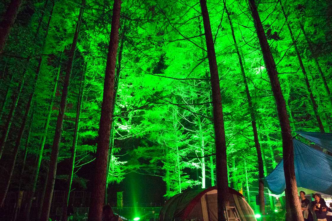 毎年ライトアップされるワールドレストランの裏。