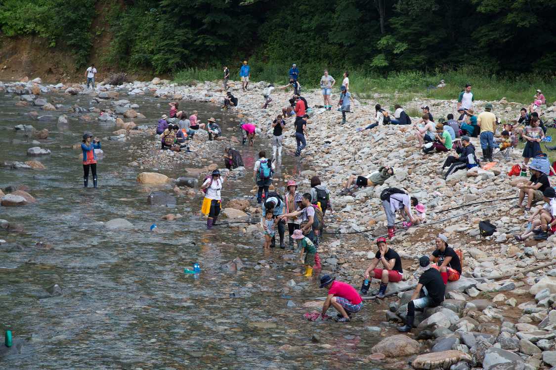 中州のようなものができている。