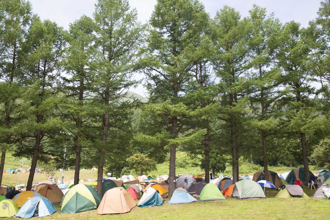 木の並び付近はBサイトでやや標高が高い。