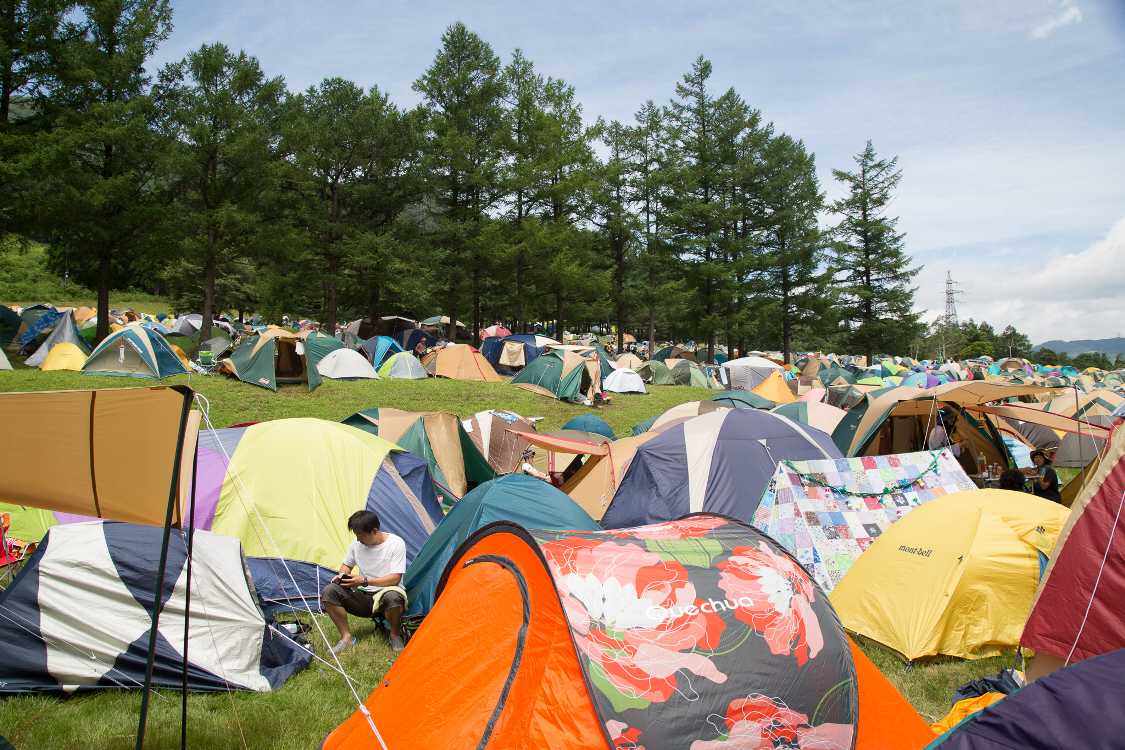 最近はコールマンの比率が落ちてきている。