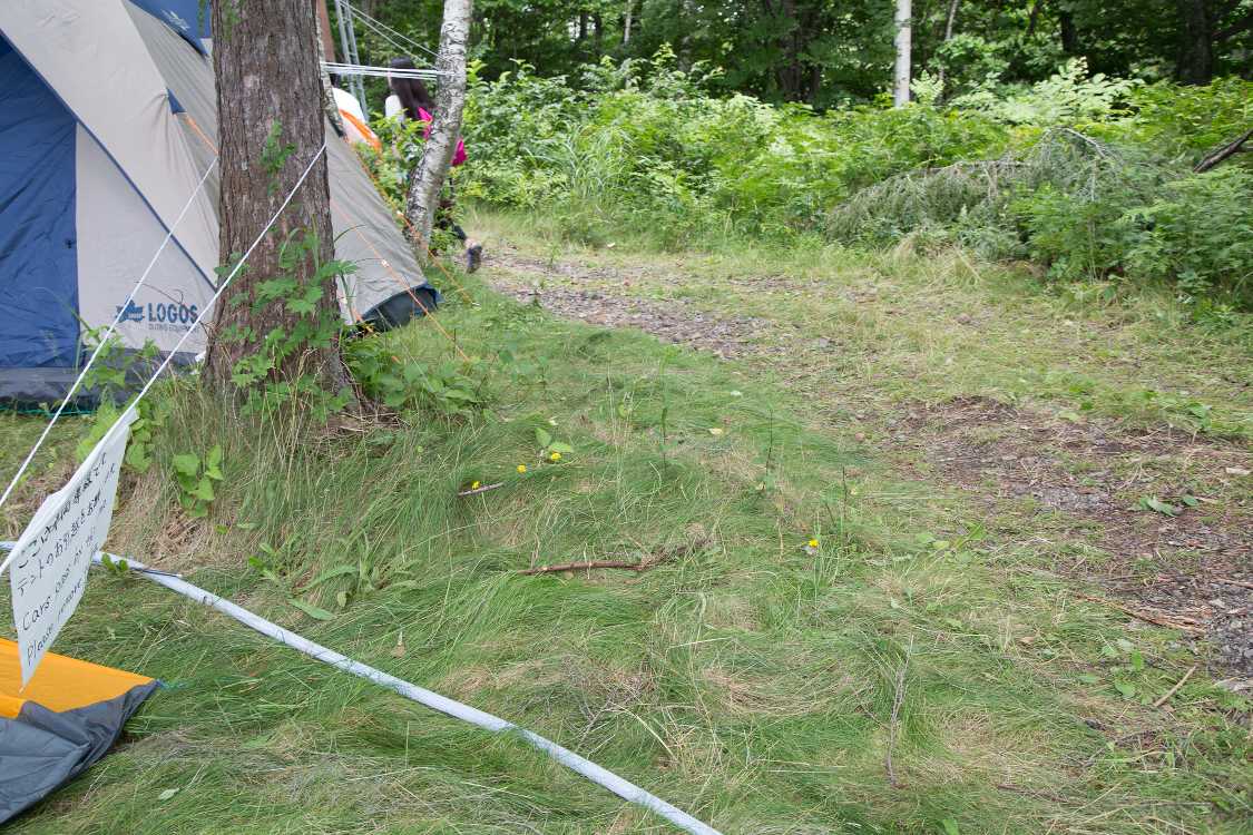 キャンプサイトの最北端。