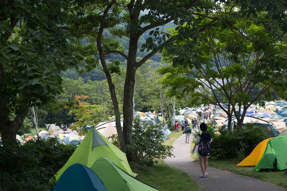 キャンプサイトの中高地、主にB、Cサイト。