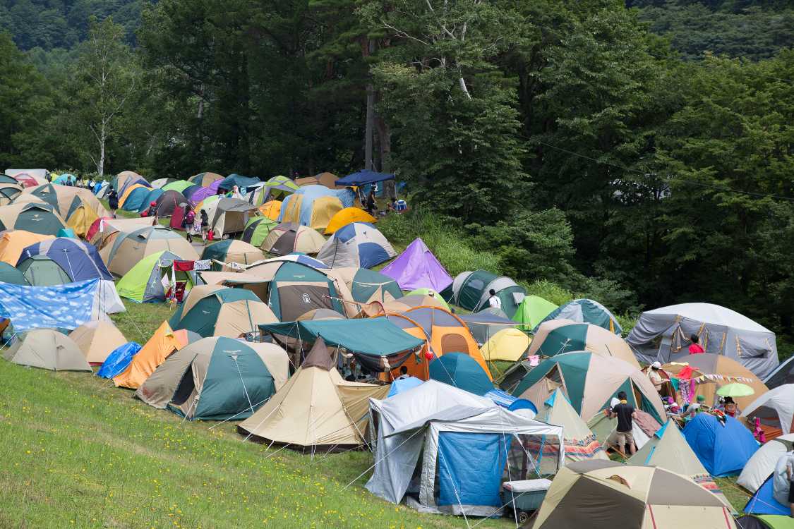 キャンプサイトの中高地、主にCサイト。