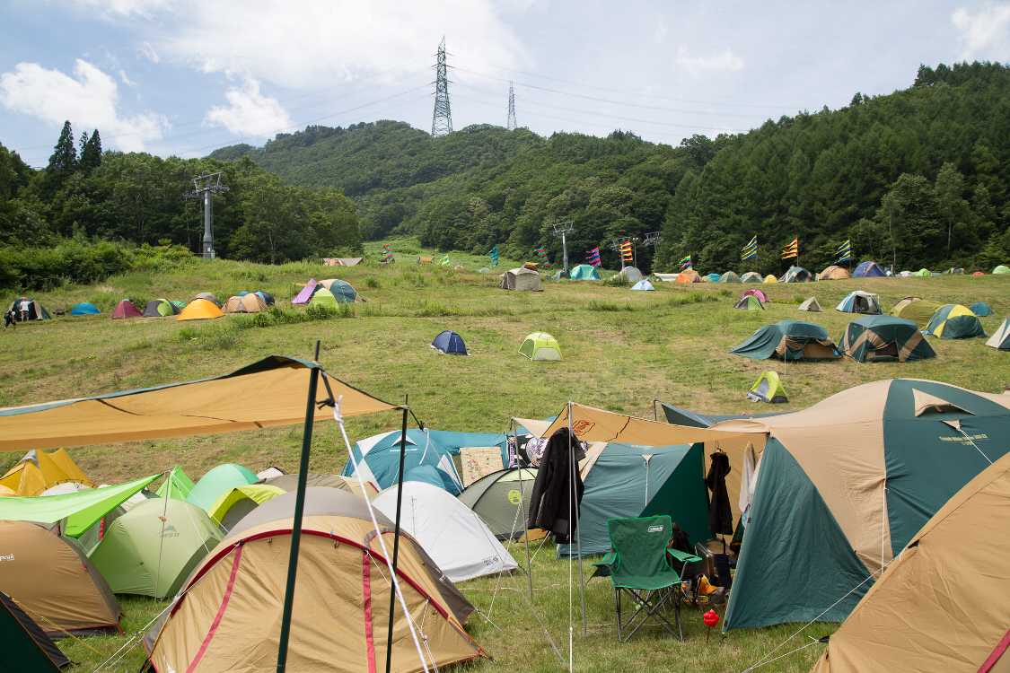 CサイトからFサイト方面を望む。