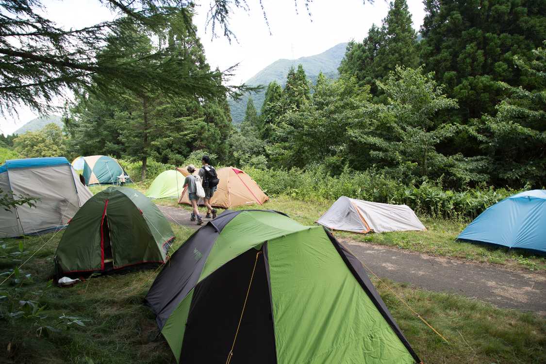 Dサイト方面へ。