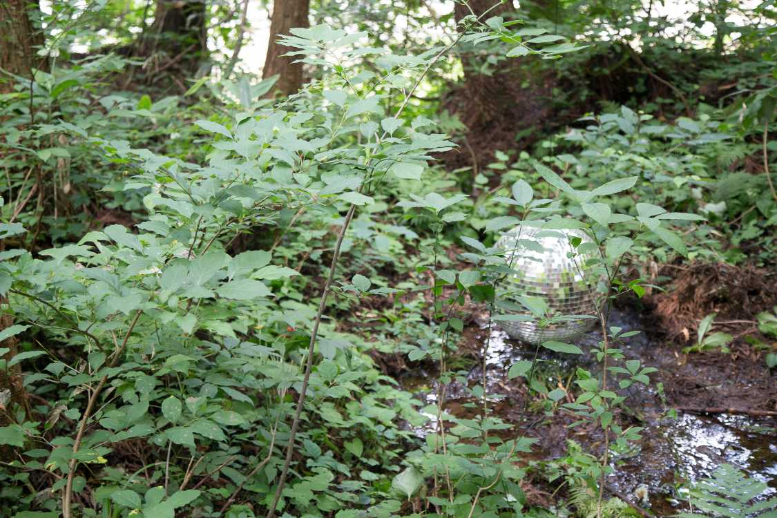 ミラーボールがありました。