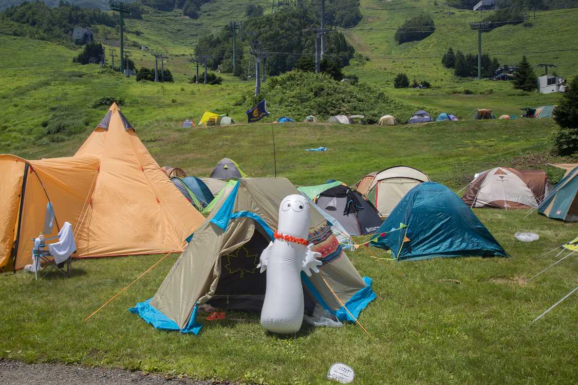 毎年見るテントの目印。