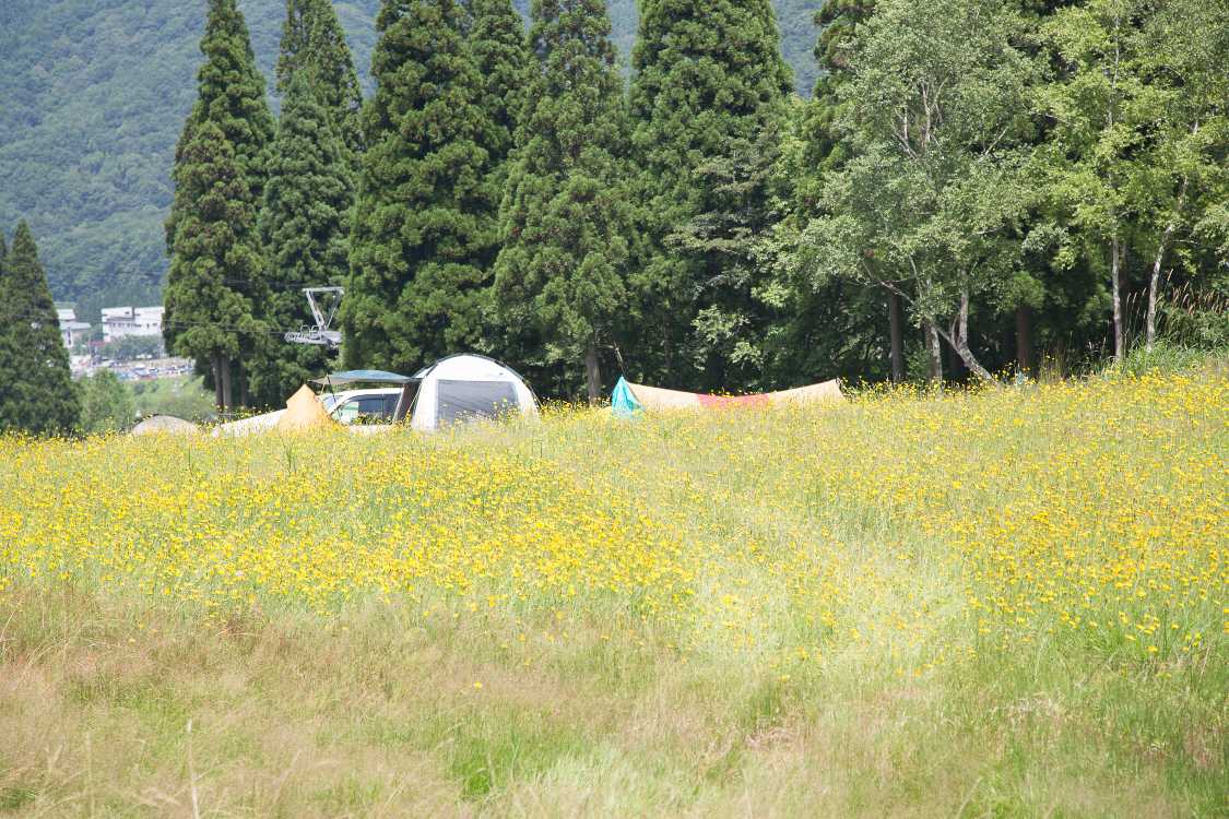 かつてゴルフ場のグリーンだったところ。